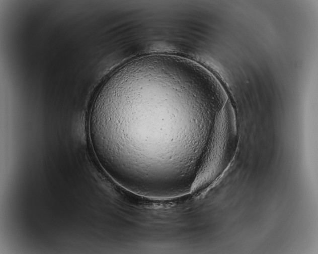 X0000093430345200710121206