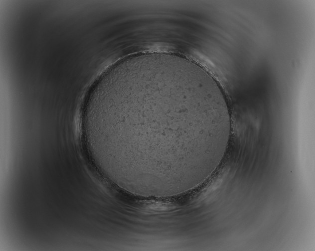 X0000093430347200710121206