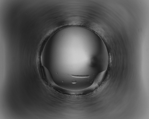 X0000093430348200710121206