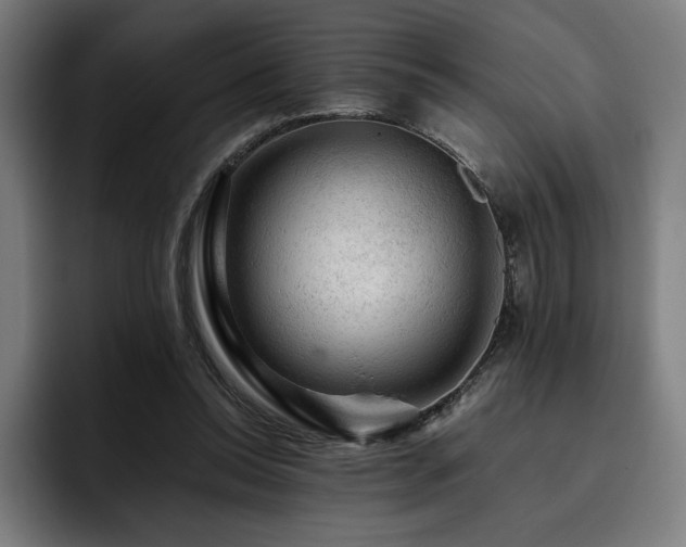 X0000093430350200710121206
