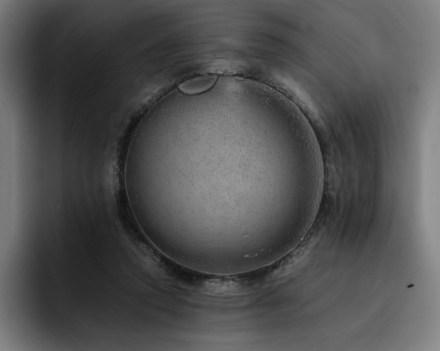 X0000093430354200710121206
