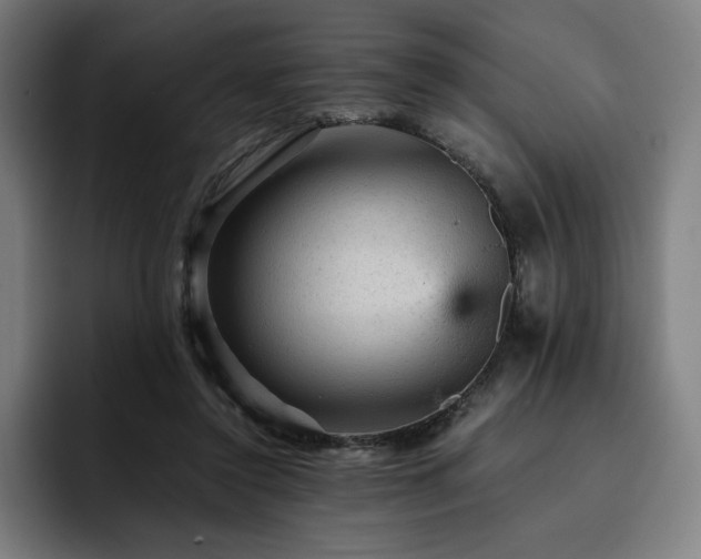 X0000093430356200710121206