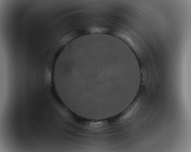 X0000093430357200710121206