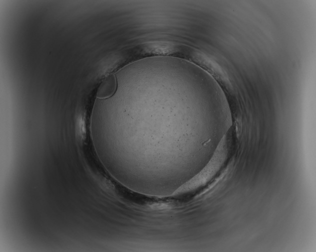 X0000093430358200710121206