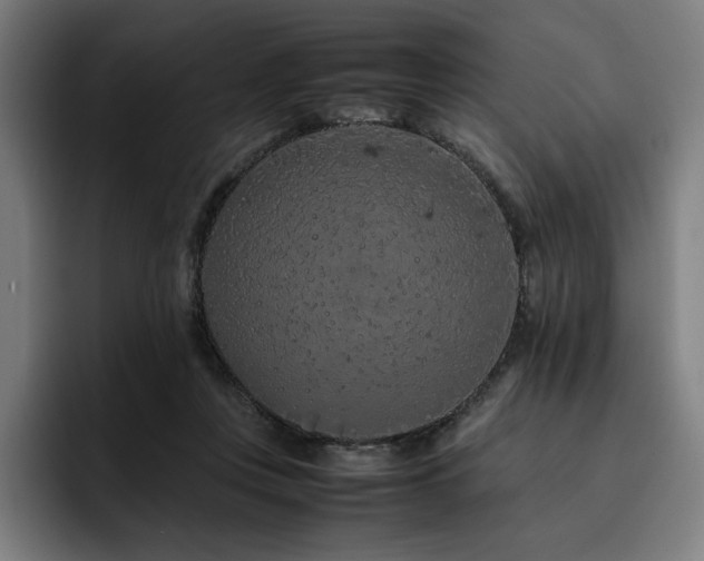 X0000093430359200710121206