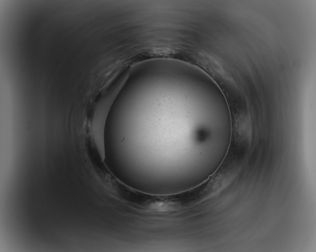 X0000093430364200710121206