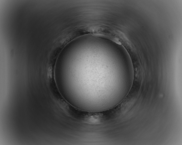 X0000093430368200710121206