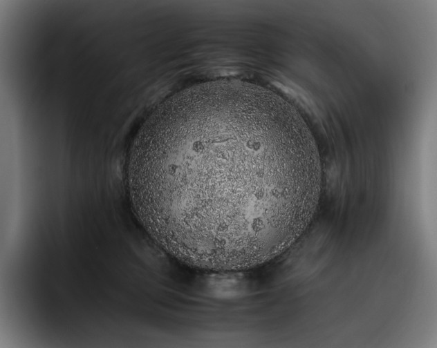 X0000093430373200710121206