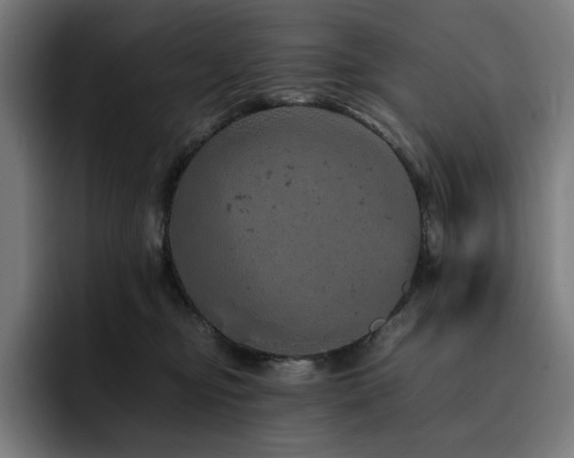 X0000093430374200710121206