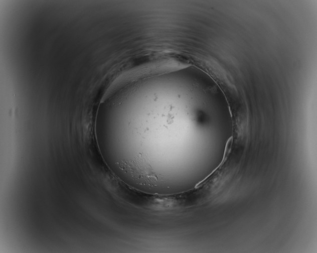 X0000093430376200710121206