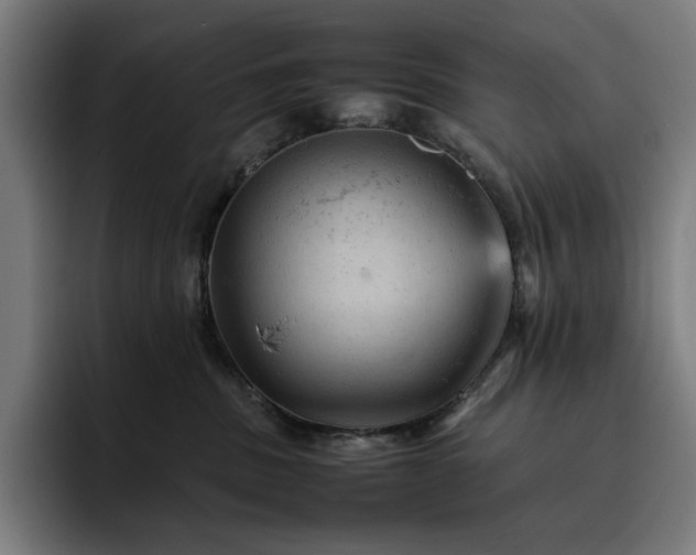 X0000093430379200710121206