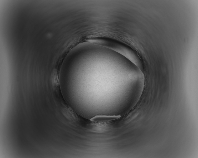 X0000093430384200710121206