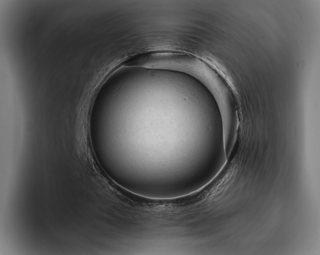 X0000093430385200710121206