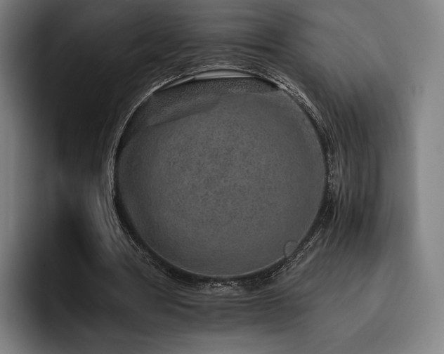X0000093430386200710121206