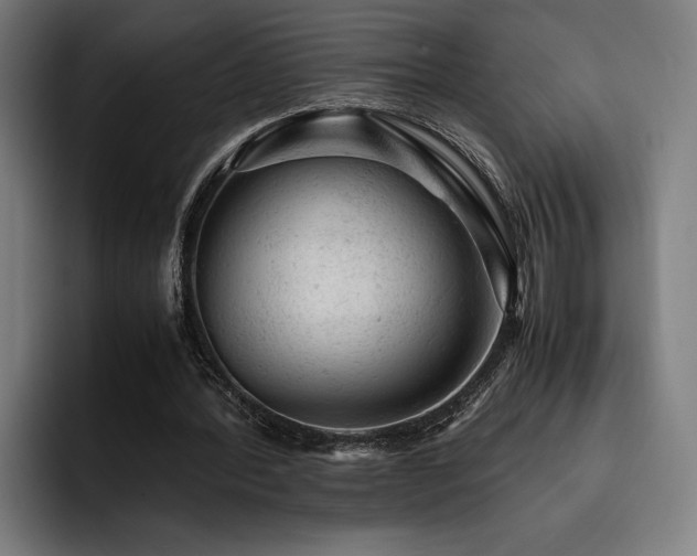X0000093430388200710121206