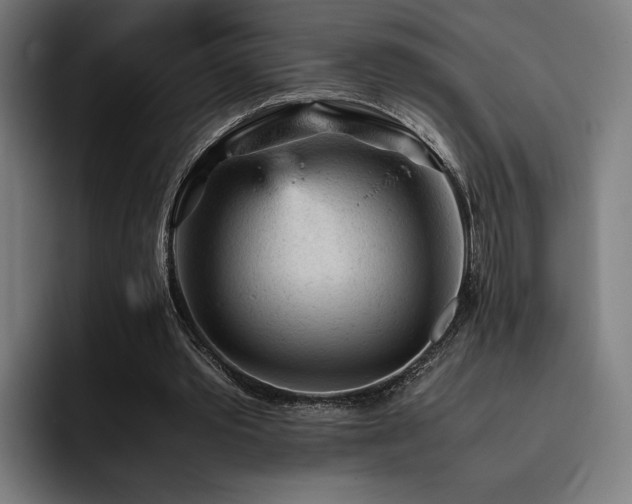 X0000093430389200710121206