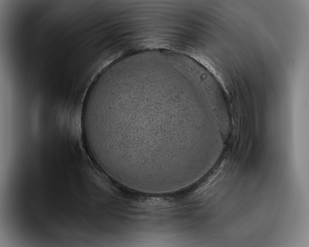 X0000093430390200710121206