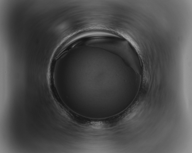 X0000093430391200710121206
