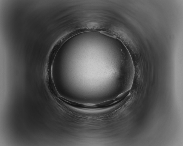 X0000093430392200710121206