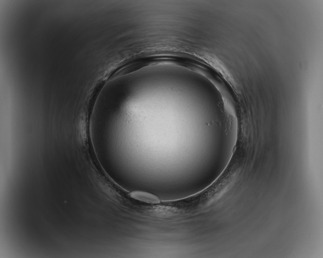 X0000093430393200710121205