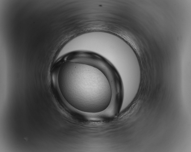 X0000093430397200710121205