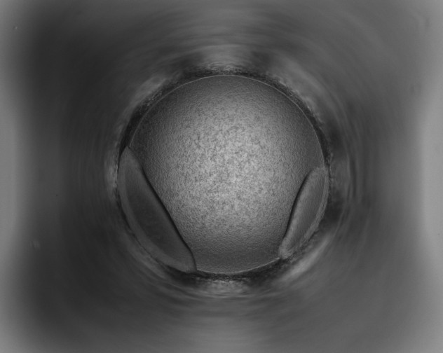 X0000093430399200710121205