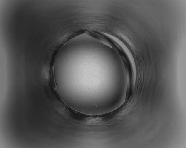X0000093430403200710121205