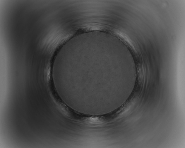 X0000093430406200710121205