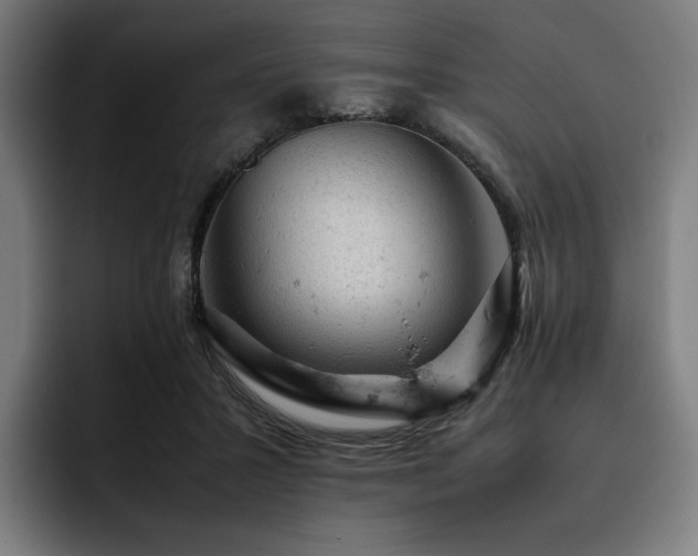 X0000093430407200710121205