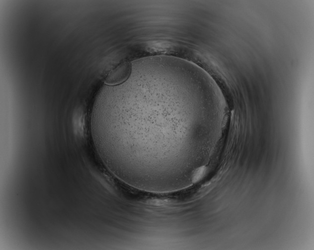 X0000093430408200710121205