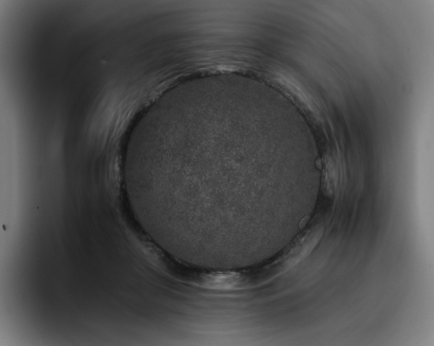 X0000093430410200710121205