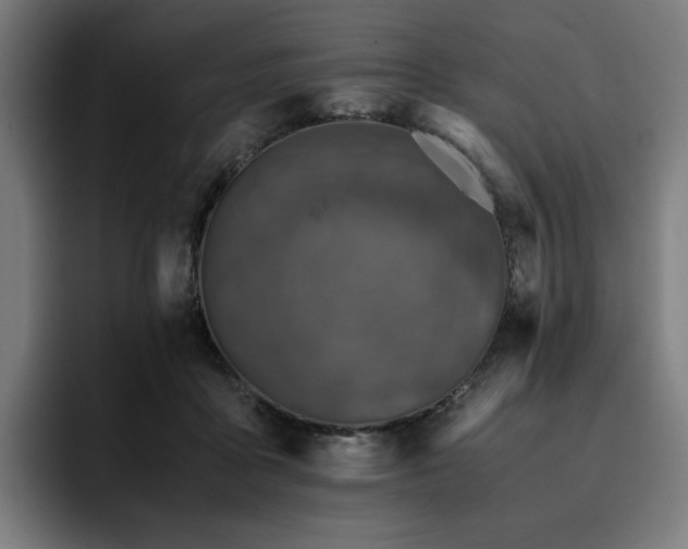 X0000093430411200710121205