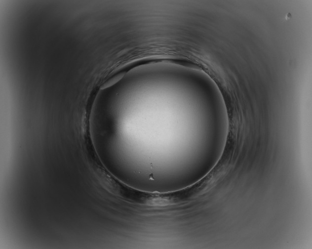 X0000093430413200710121205