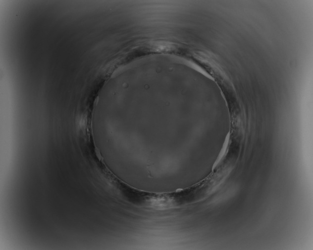 X0000093430415200710121205