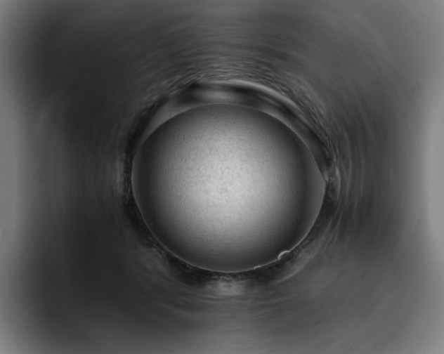 X0000093430416200710121205
