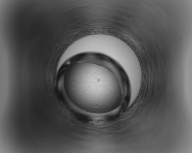 X0000093430417200710121205