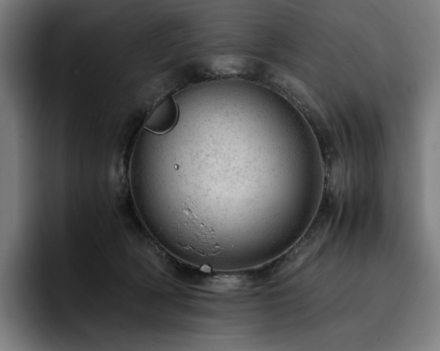 X0000093430418200710121205