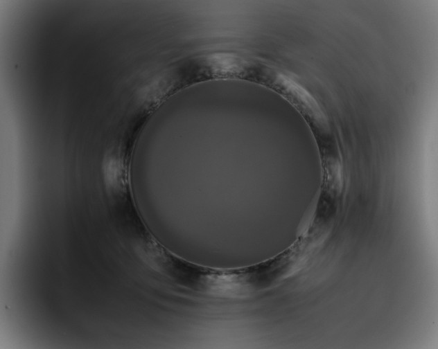 X0000093430419200710121205