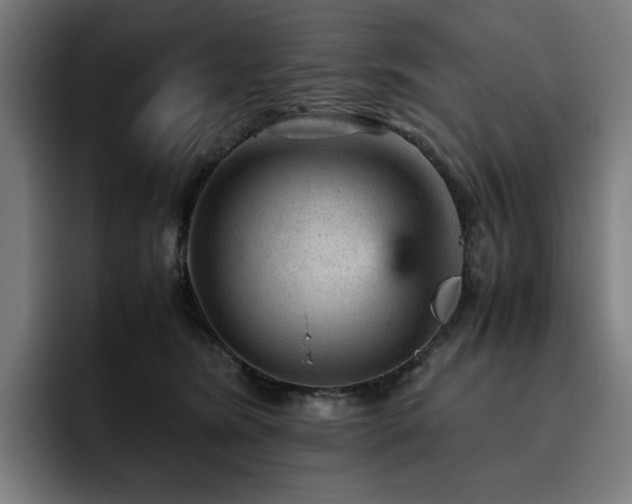 X0000093430420200710121205
