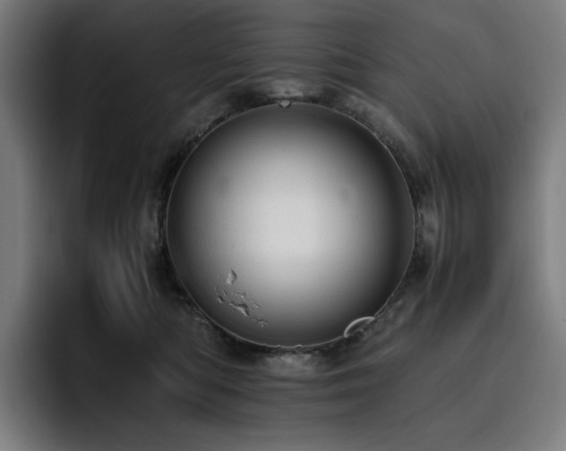 X0000093430422200710121205