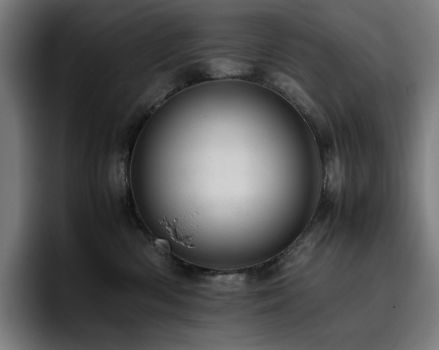 X0000093430426200710121205