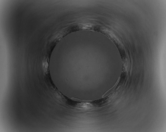 X0000093430427200710121205