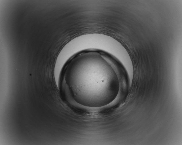 X0000093430428200710121205