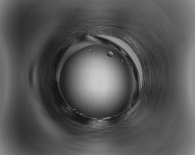 X0000093430429200710121205