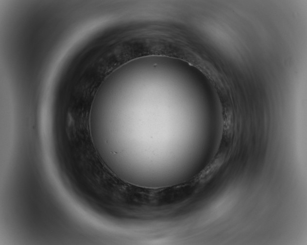 X0000093430430200710121205