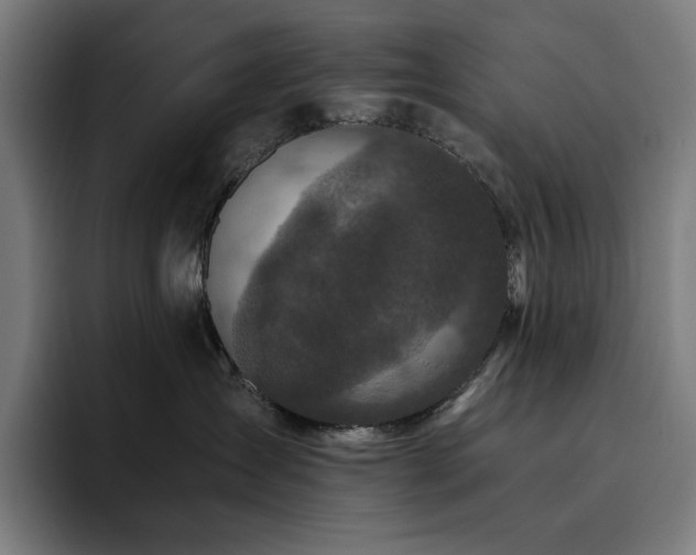 X0000093430431200710121205