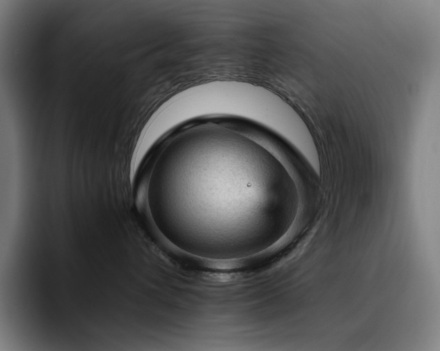 X0000093430432200710121205