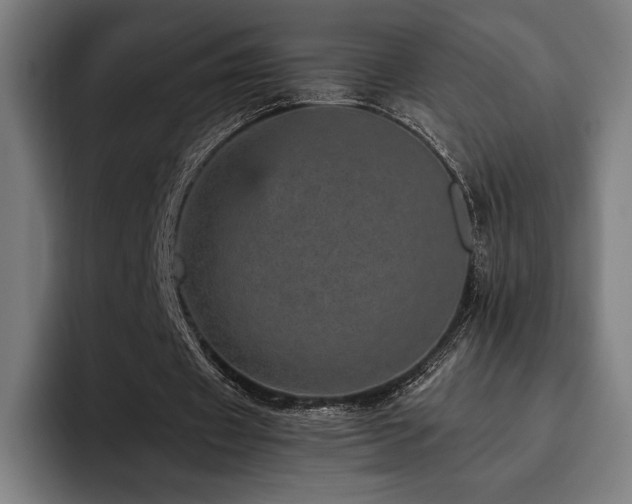 X0000093430433200710121204
