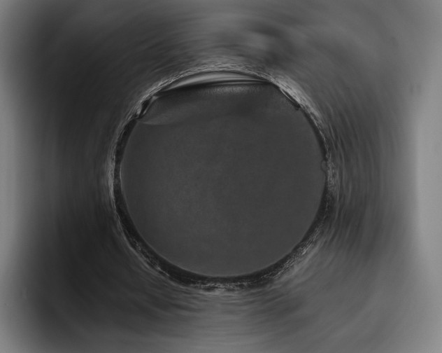 X0000093430434200710121204
