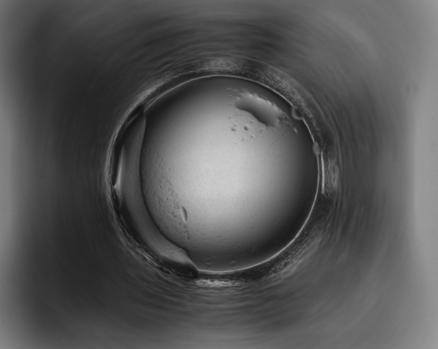 X0000093430435200710121204